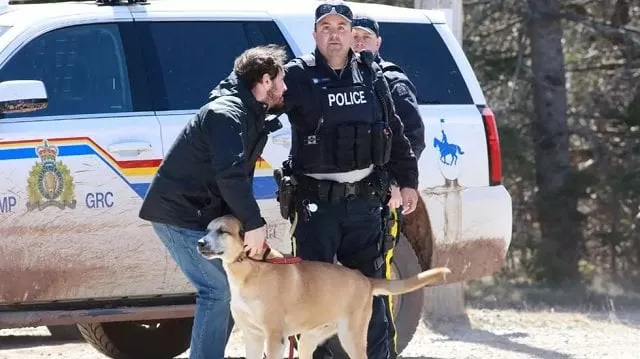 rcmp officer cedric landry releases a dog to a man at the checkpoint onto portapique beach road after gabriel wortman a suspected shooter was taken into custody in portapique nova scotia canada photo reuters rcmp officer cedric landry releases a dog to a man at the checkpoint onto portapique beach road after gabriel wortman a suspected shooter was taken into custody in portapique nova scotia canada photo reuters