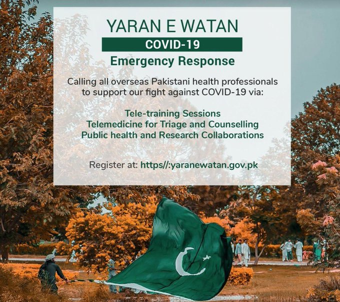 federal govt launches yaran e watan volunteer services
