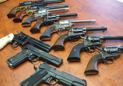 senate panel three provinces want centre to issue arms licences senate panel three provinces want centre to issue arms licences