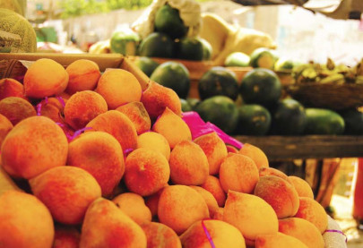 corporate farming fair trade well not really because we re giving our land away corporate farming fair trade well not really because we re giving our land away