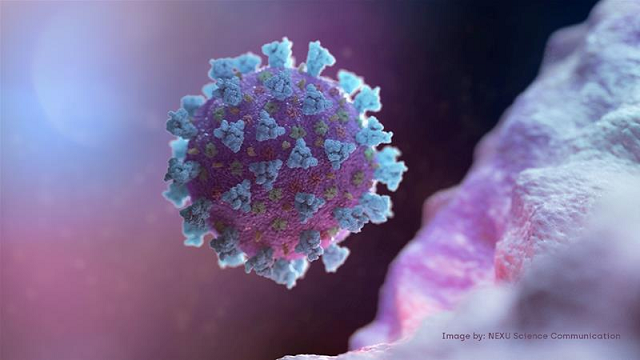 neutralising antibody is the new virus detail to aid vaccine research