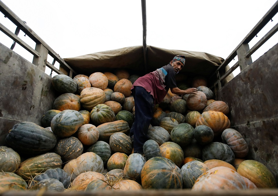 a labourer unloads pumpkins from a truck at a vegetable market during may day amid the lockdown imposed by the government over concerns about the spread of the coronavirus disease covid 19 outbreak in kathmandu nepal may 1 2020 reuters navesh chitrakar