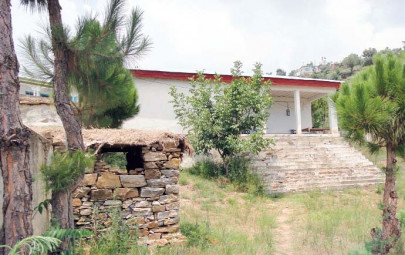 educational concerns as teachers freeload off government students suffer educational concerns as teachers freeload off government students suffer