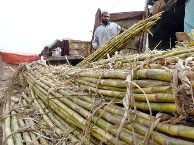 sugar and the making of a rentier economy sugar and the making of a rentier economy
