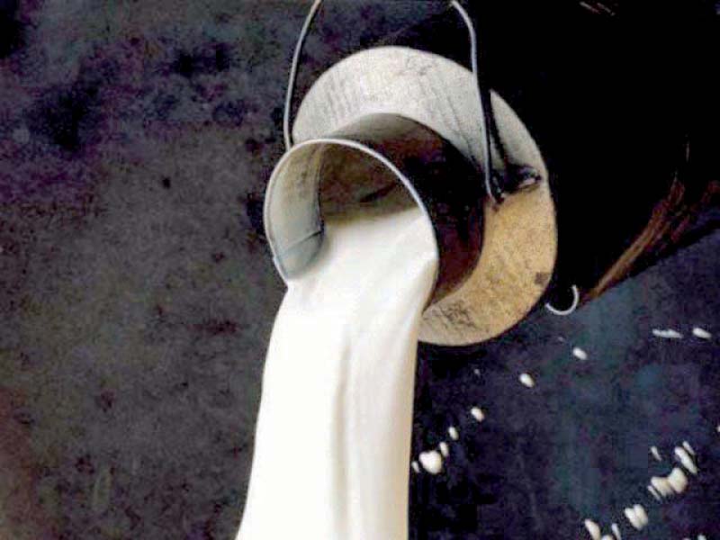 at present 90 of market is captured by loose milk and the share of packaged milk sector is only 10 photo file