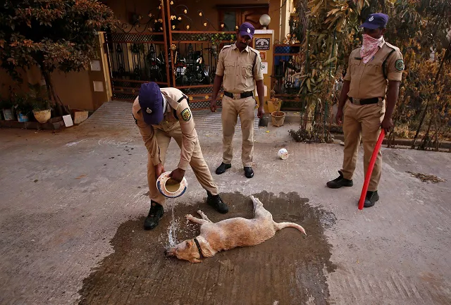 a policeman tries to revive a dog near the site of the lg polymers plant following a gas leak at the plant in visakhapatnam india may 8 2020 photo reuters a policeman tries to revive a dog near the site of the lg polymers plant following a gas leak at the plant in visakhapatnam india may 8 2020 photo reuters