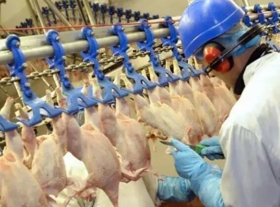 meat exports to china reach 3 37m in jan sept