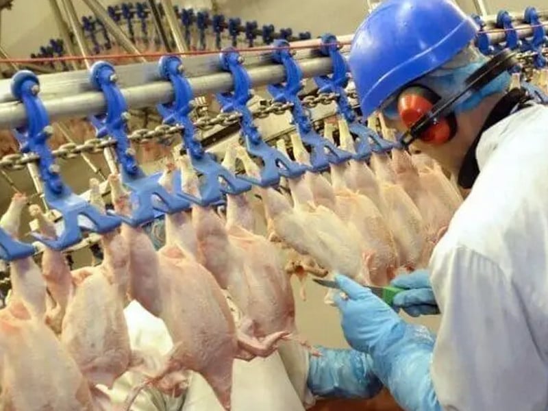 meat exports to china reach 3 37m in jan sept