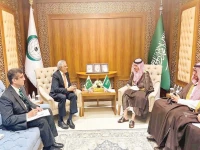 deputy prime minister and foreign minister ishaq dar holds a meeting with saudi foreign minister prince faisal bin farhan on the sidelines of the oic cfms emergency session in jeddah on palestine photo courtesy ptv
