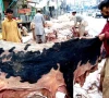balochistan bans hides collection by proscribed outfits