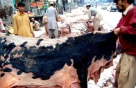 balochistan bans hides collection by proscribed outfits
