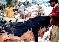 balochistan bans hides collection by proscribed outfits