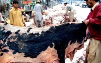 balochistan bans hides collection by proscribed outfits
