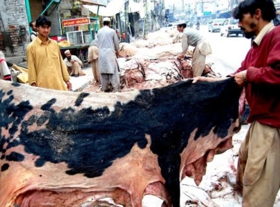 balochistan bans hides collection by proscribed outfits