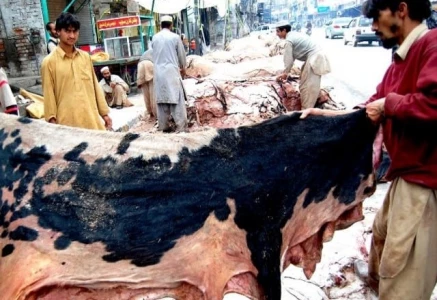 balochistan bans hides collection by proscribed outfits