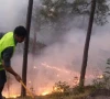 over 20 forest fires contained during heatwave
