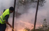 over 20 forest fires contained during heatwave over 20 forest fires contained during heatwave