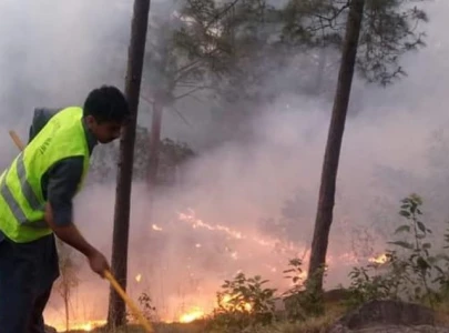 over 20 forest fires contained during heatwave over 20 forest fires contained during heatwave