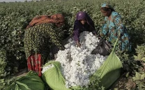 cotton growers cautioned