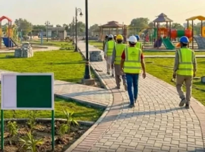over 230 pha workers sacked
