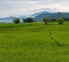 pak takes big leap in green ranking pak takes big leap in green ranking