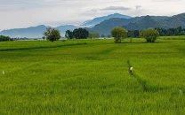 pak takes big leap in green ranking pak takes big leap in green ranking