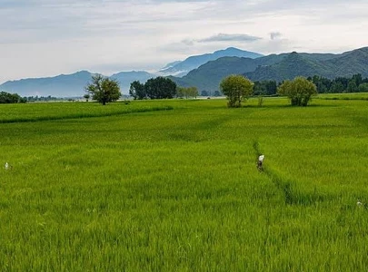 pak takes big leap in green ranking pak takes big leap in green ranking