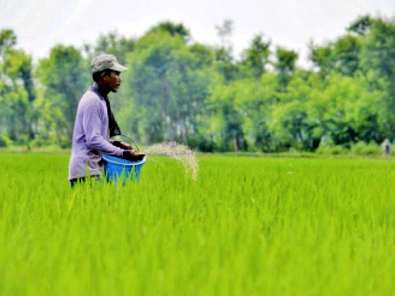 the imf has asked pakistan to withdraw all sales tax concessions if the government implements the imf condition the gst rate on fertiliser will go up from 2 to 17 photo file