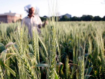 food ministry prepares relief package for agri sector