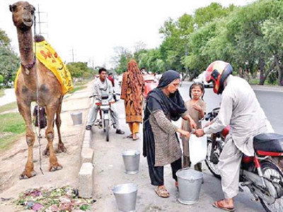demand for camel milk continues to increase in punjab