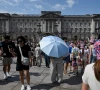 europe heatwave linked to 3 700 excess deaths europe heatwave linked to 3 700 excess deaths