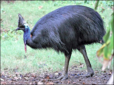 fifty seven lonely years and counting fifty seven lonely years and counting