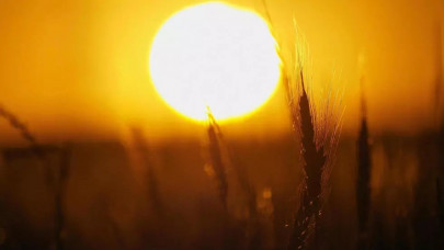 summer unlikely to curb coronavirus pandemic growth study summer unlikely to curb coronavirus pandemic growth study