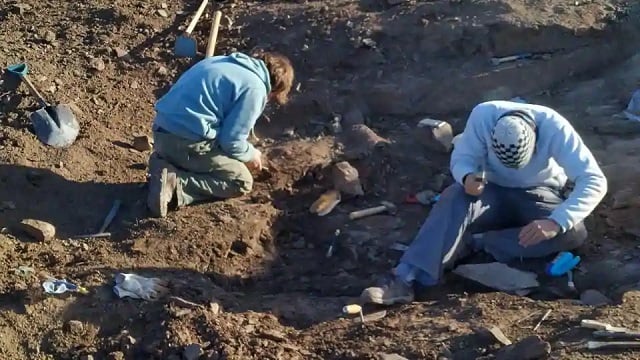 federico brisson member of the argentine museum of natural sciences unearth fossils of a megaraptor at el calafate santa cruz argentina march 15 2020 photo reuters