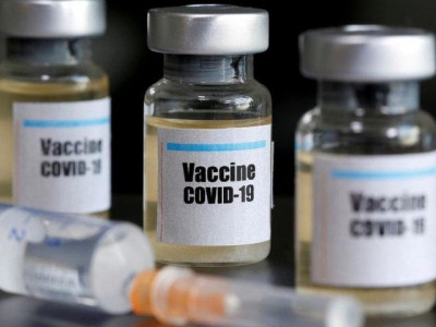 inovio says covid 19 vaccine produces antibodies in mice guinea pigs inovio says covid 19 vaccine produces antibodies in mice guinea pigs