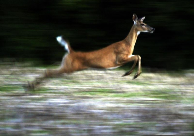 a reuters file image a reuters file image