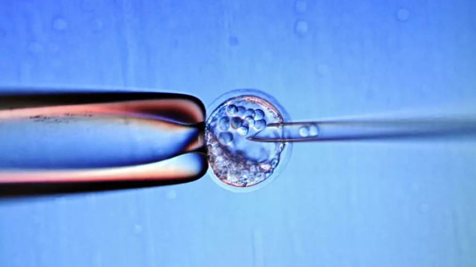 embryonic stem cells are harvested from fertilised eggs and using them in research has raised ethical issues because embryos are subsequently destroyed photo afp