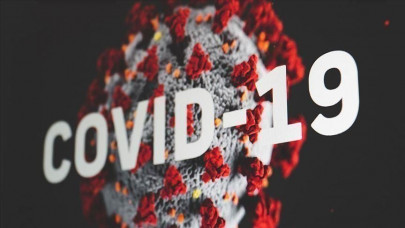 coronavirus infection may not guarantee immunity coronavirus infection may not guarantee immunity