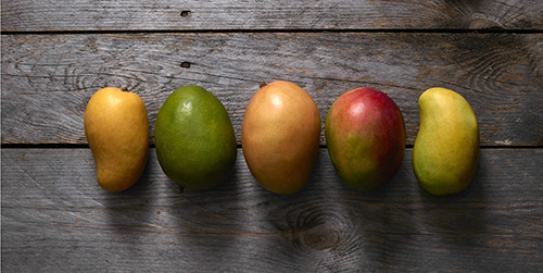 here are five reasons to enjoy mangoes to the fullest this season