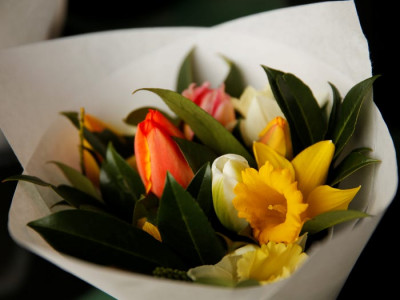 dazzling flower exhibition at uoa