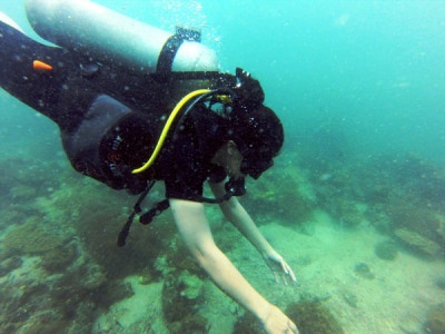 scuba diving an experience of a lifetime scuba diving an experience of a lifetime
