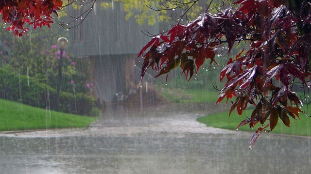 ndma issues weather advisory for rain thunderstorms