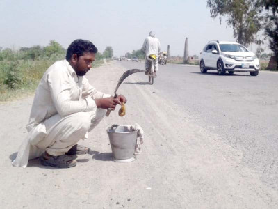 honey seller struggles to retain livelihood honey seller struggles to retain livelihood