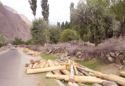 wooden woes rapid construction after floods a threat to forests in gilgit baltistan