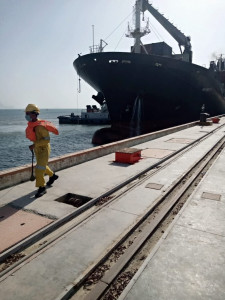 first cargo ship carrying wheat urea reaches gwadar asim bajwa