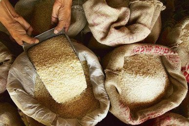 rice exports to china surge 63 in q3