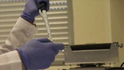 global coronavirus cases exceed 6 million mark