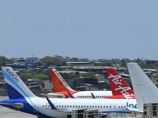 the ministry urged airlines to avoid any swarms which had the potential to enter air inlets and damage flight instruments photo afp the ministry urged airlines to avoid any swarms which had the potential to enter air inlets and damage flight instruments photo afp