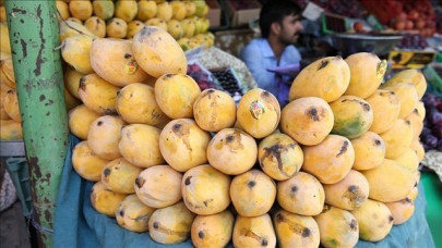 pakistan s mango exports hugely hit by coronavirus restrictions pakistan s mango exports hugely hit by coronavirus restrictions