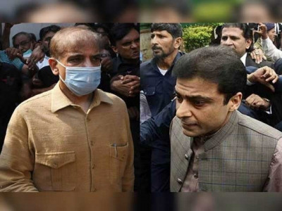 court extends pre arrest bail of shehbaz hamza in money laundering case till oct 30 court extends pre arrest bail of shehbaz hamza in money laundering case till oct 30
